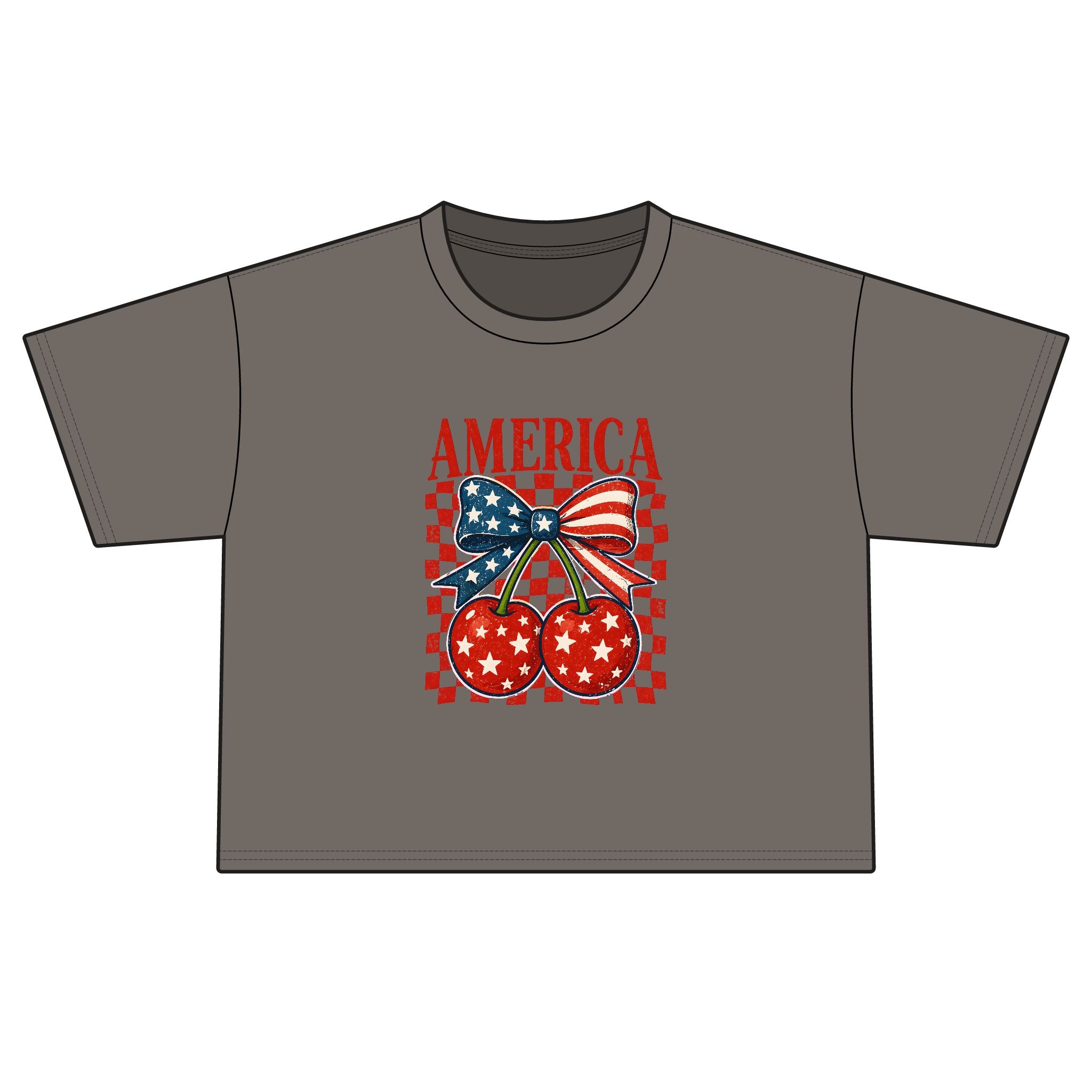 America Cherry Flag Boxy Tee