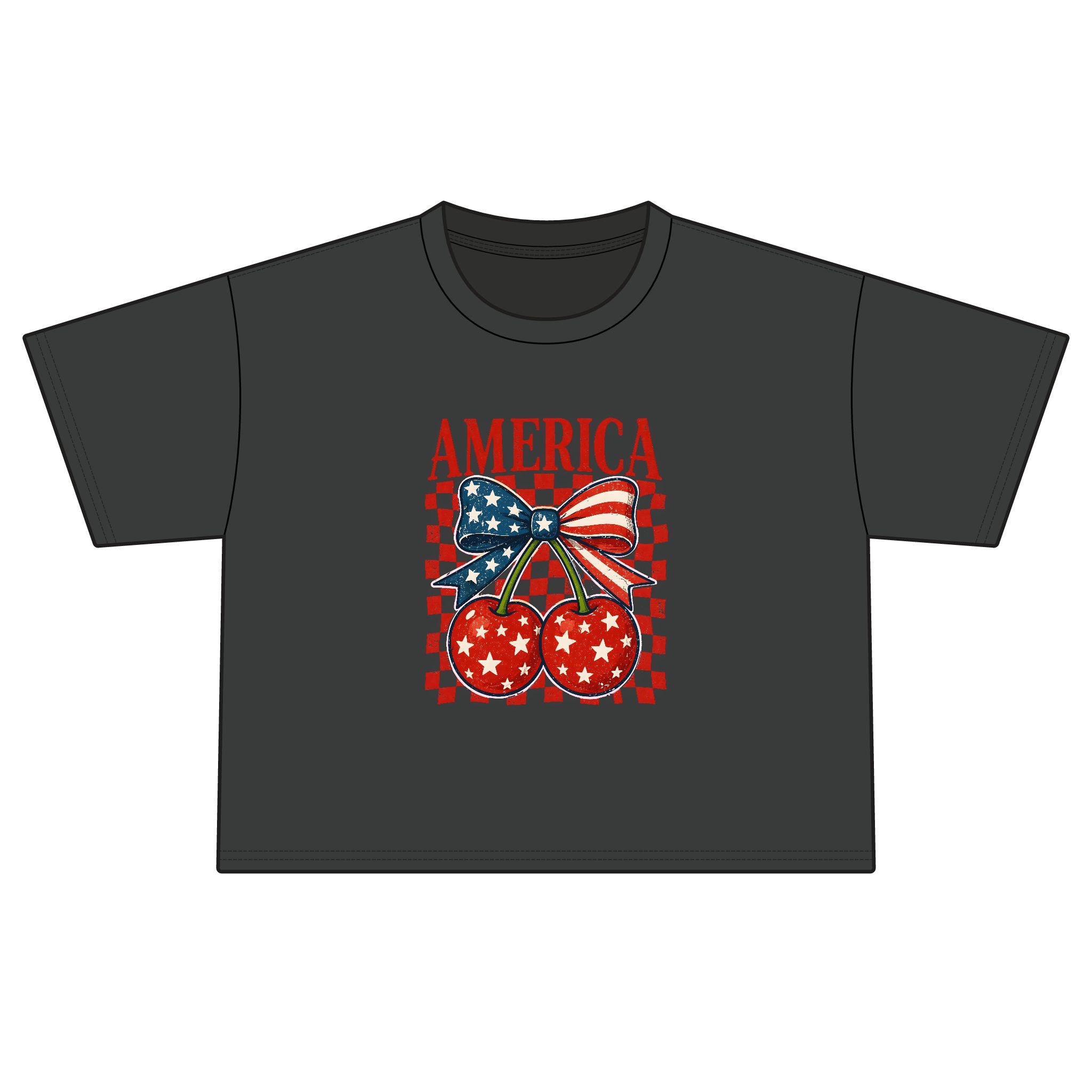 America Cherry Flag Boxy Tee