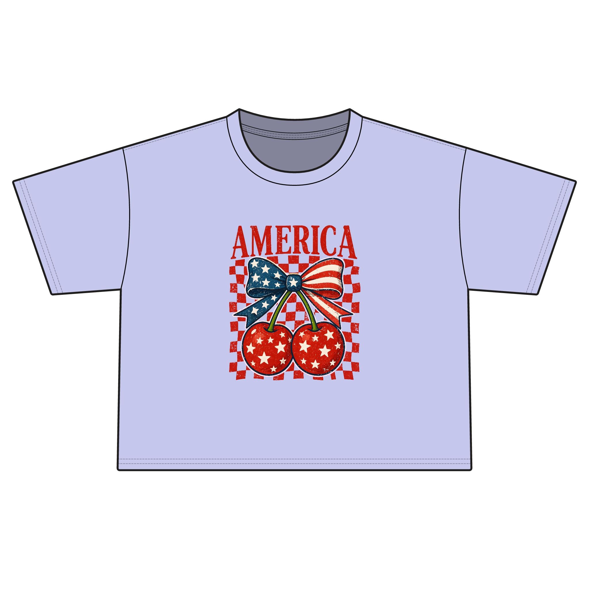 America Cherry Flag Boxy Tee