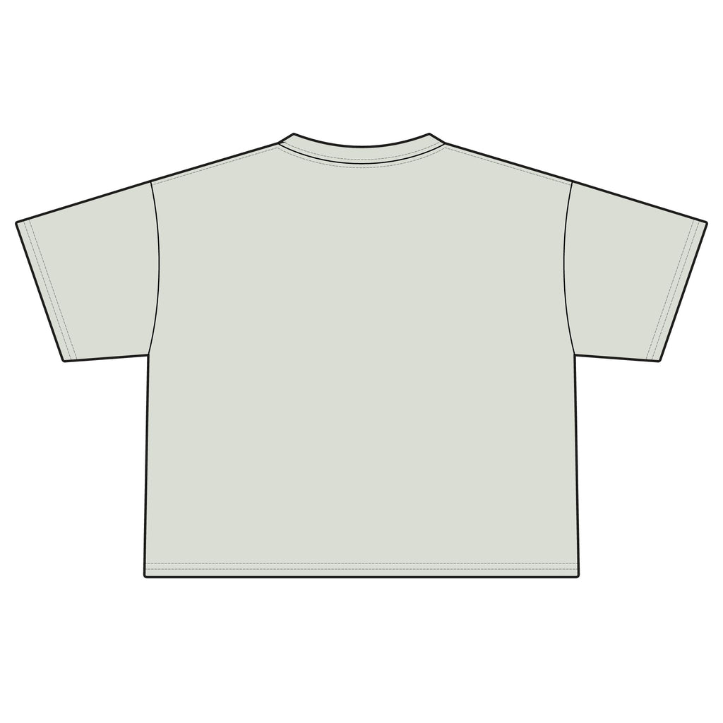 America Cherry Flag Boxy Tee