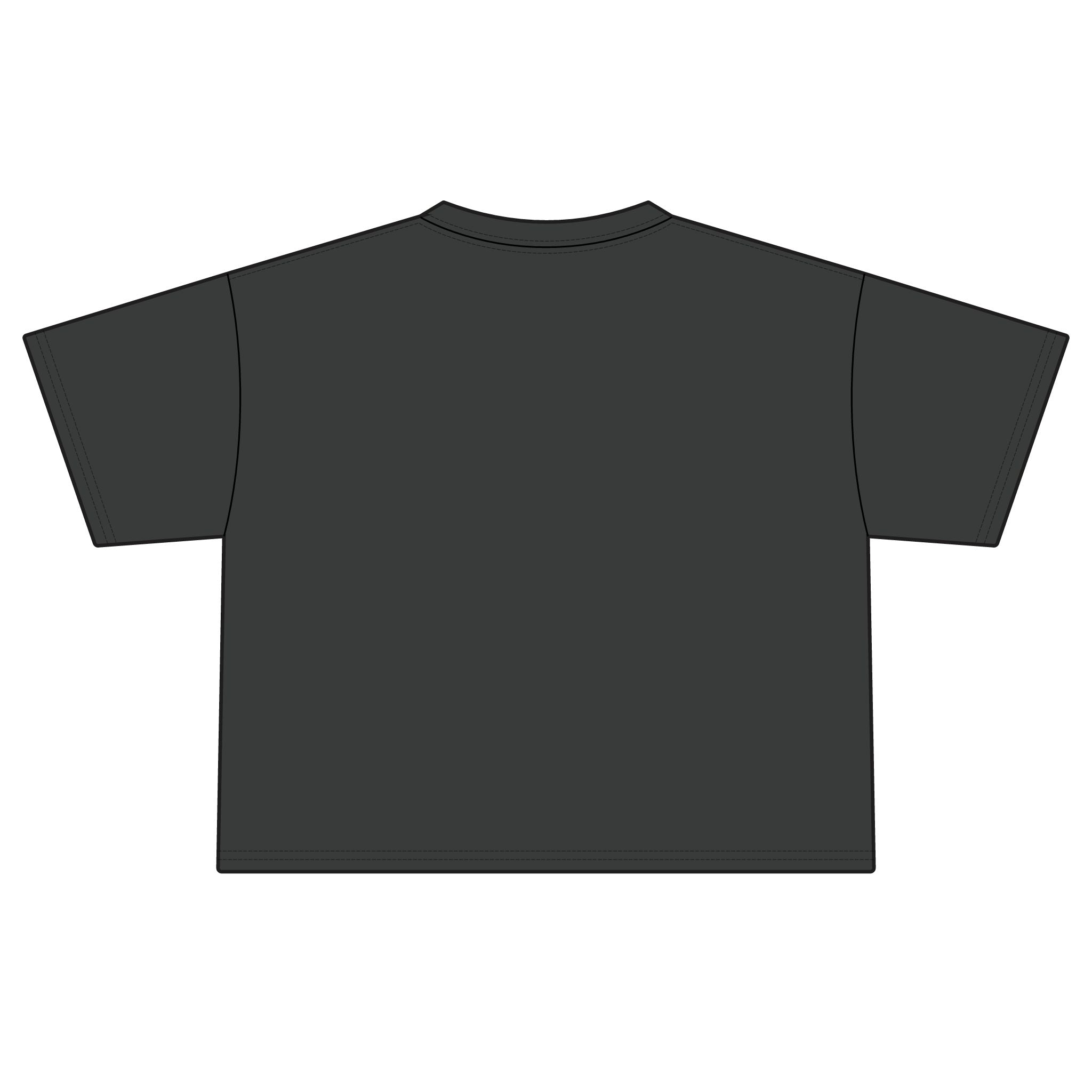 America Cherry Flag Boxy Tee