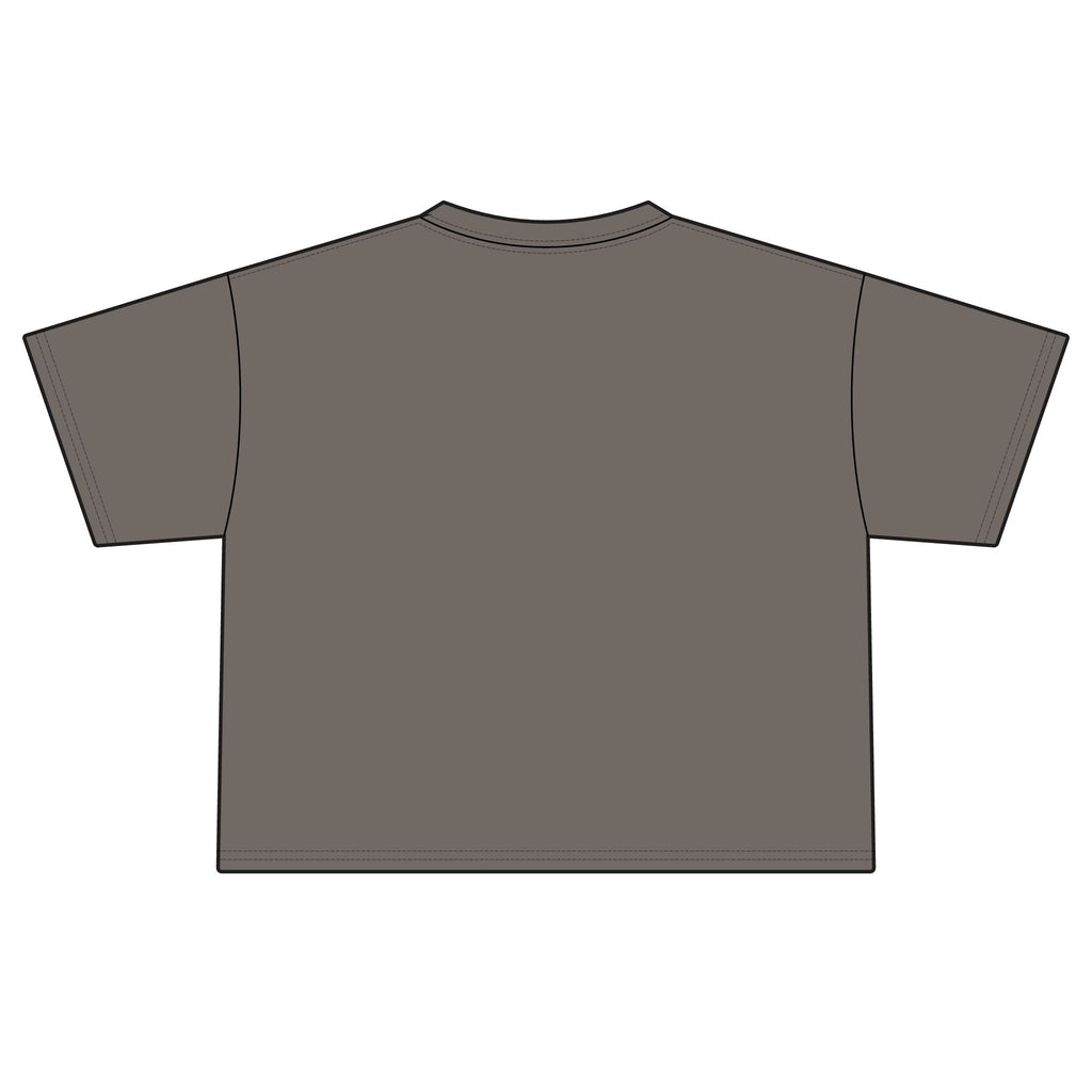 America Cherry Flag Boxy Tee