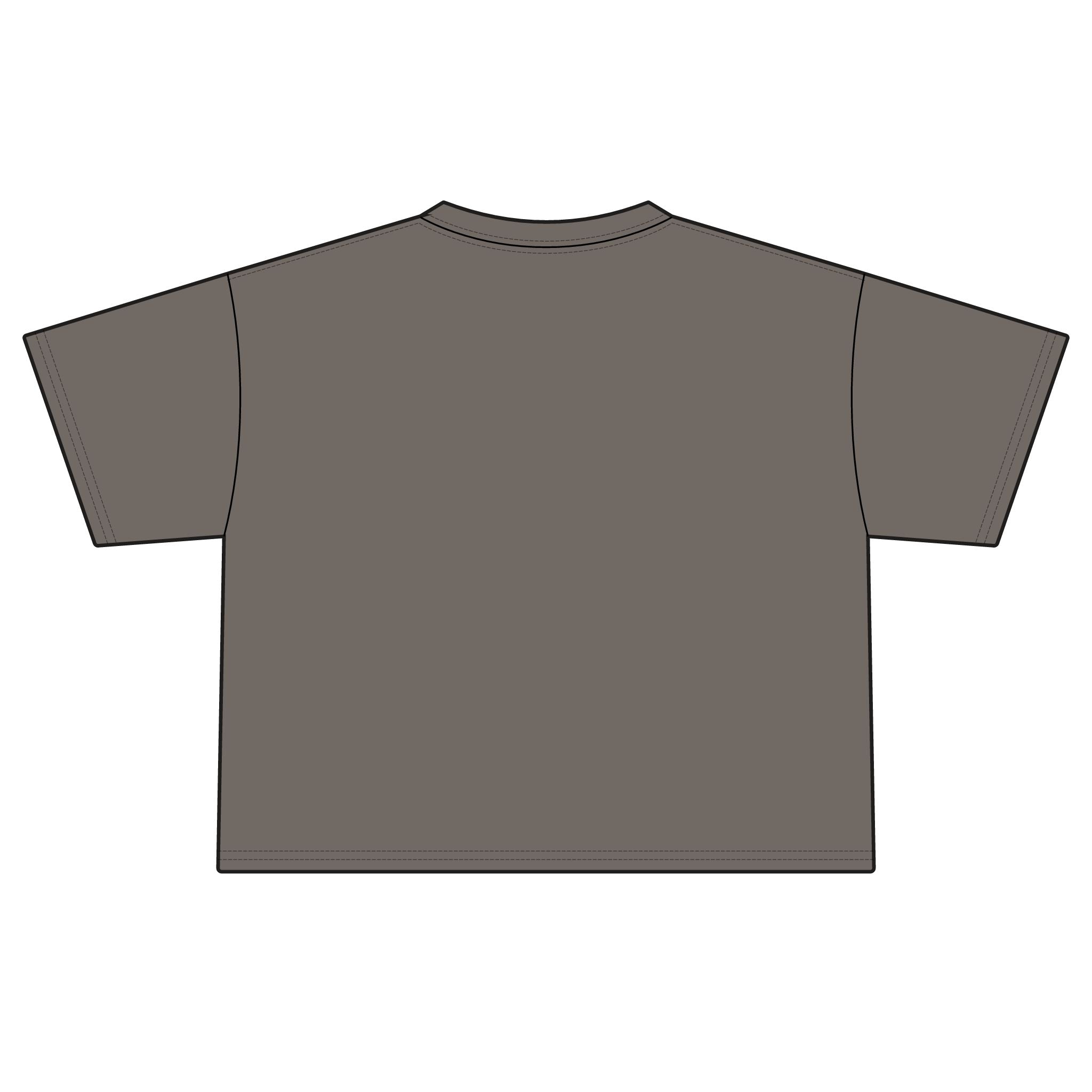 America Cherry Flag Boxy Tee
