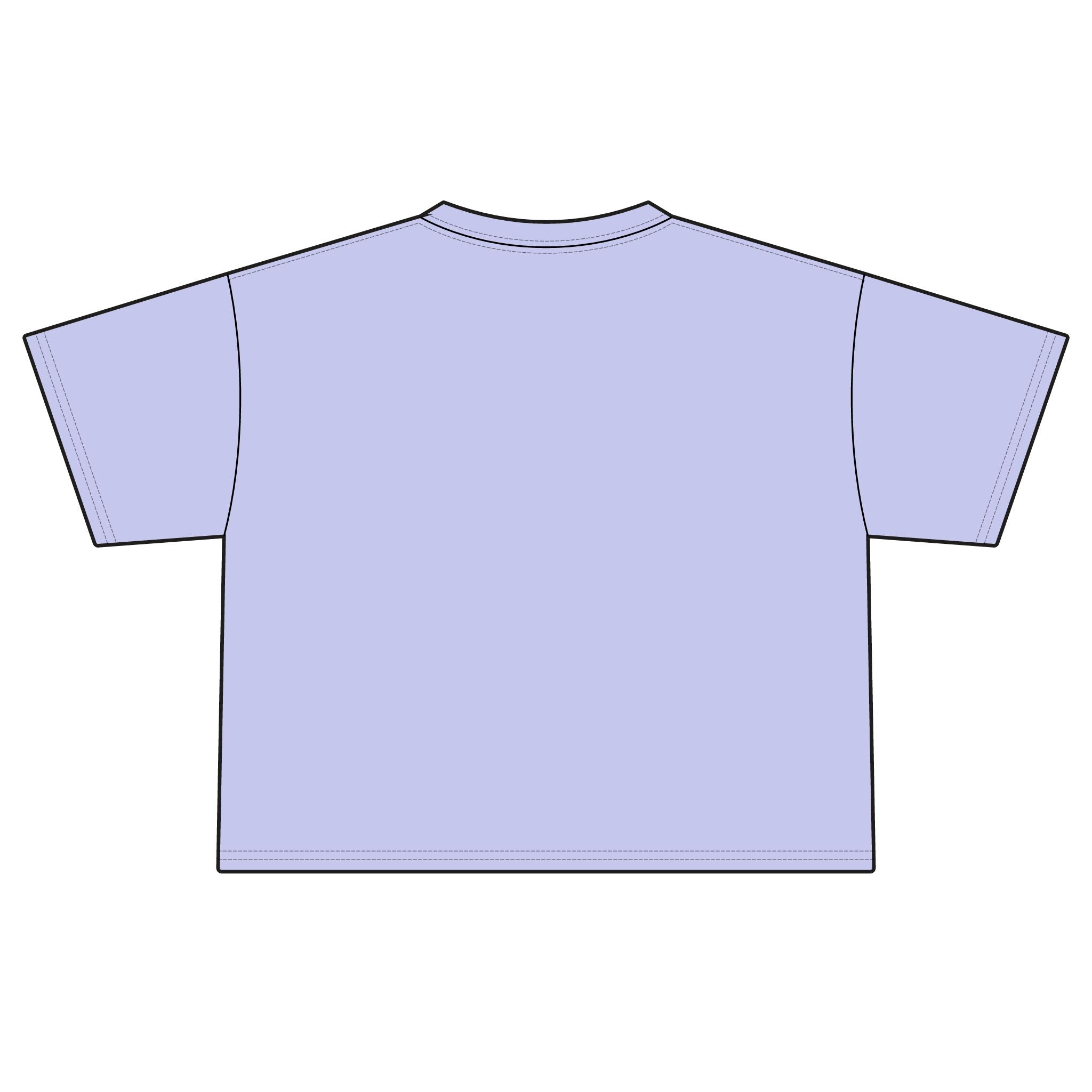 America Cherry Flag Boxy Tee