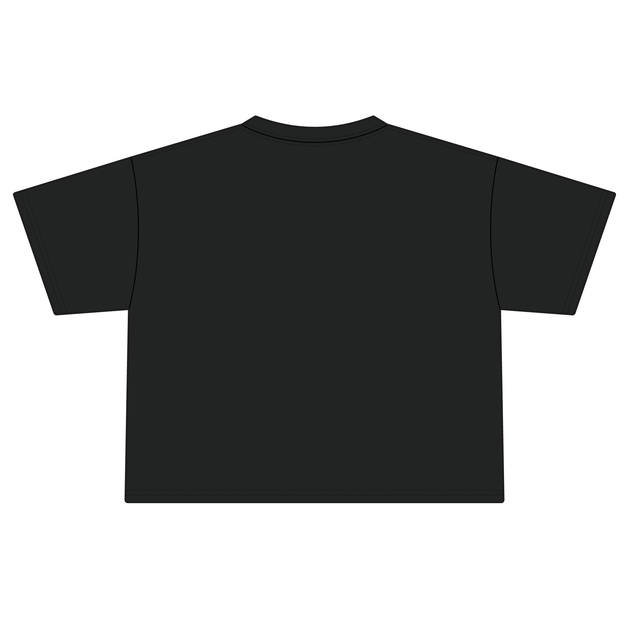 America Cherry Flag Boxy Tee