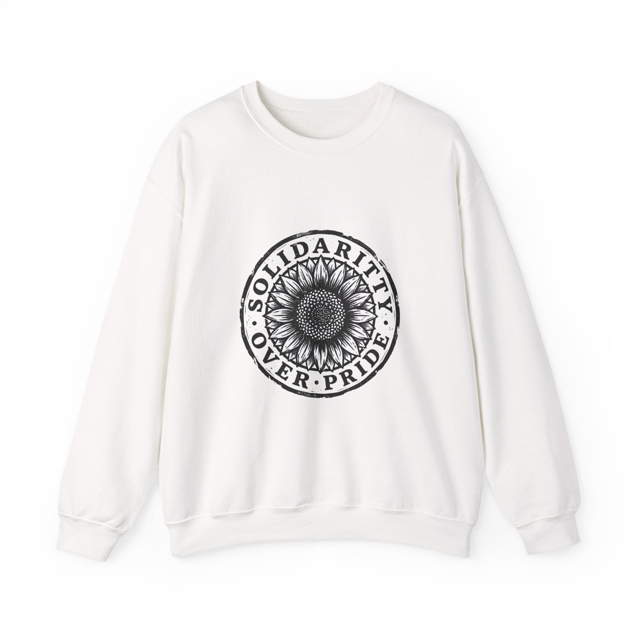 Solidarity Over Pride sweatshirt | People Over Profit statement, activist crewneck