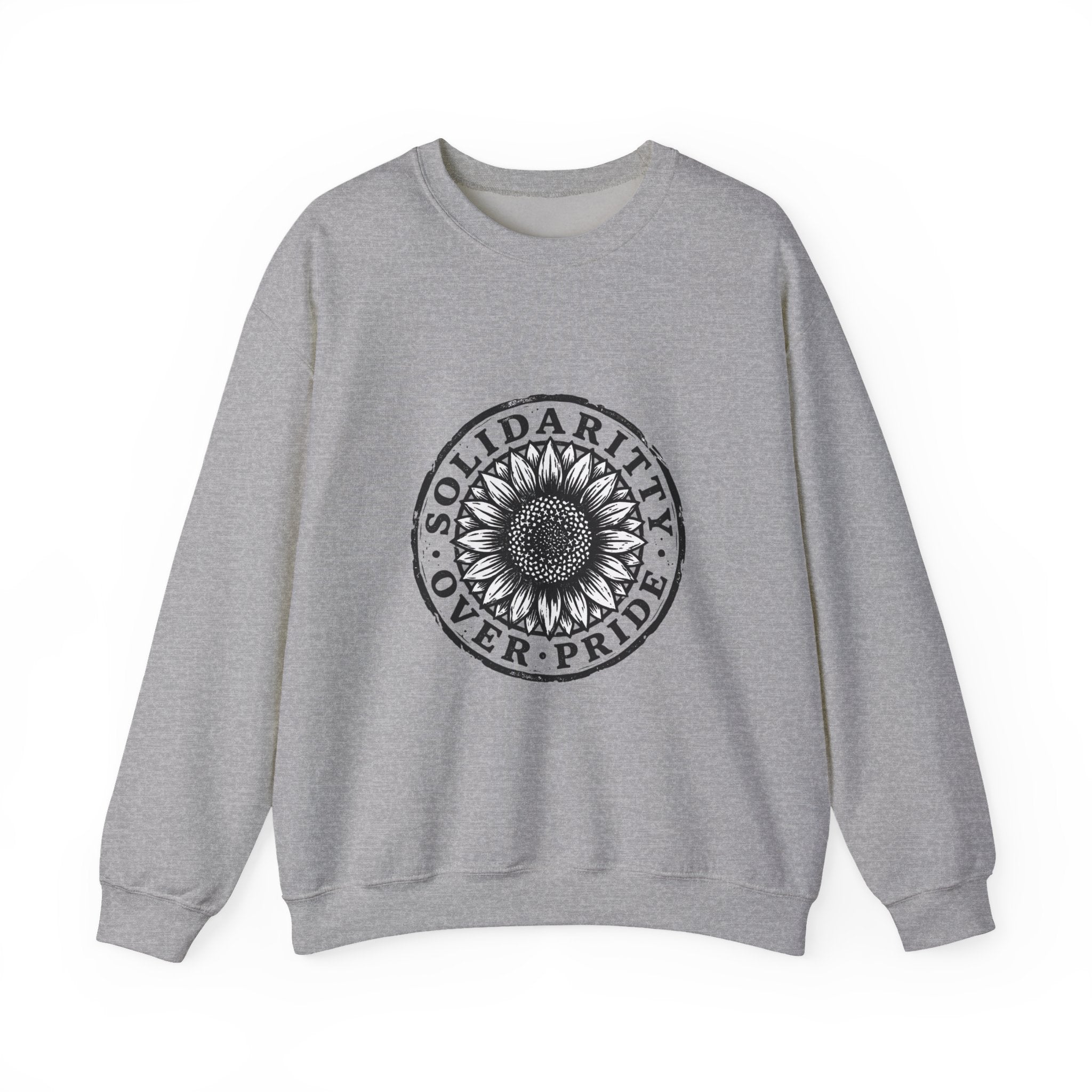 Solidarity Over Pride sweatshirt | People Over Profit statement, activist crewneck
