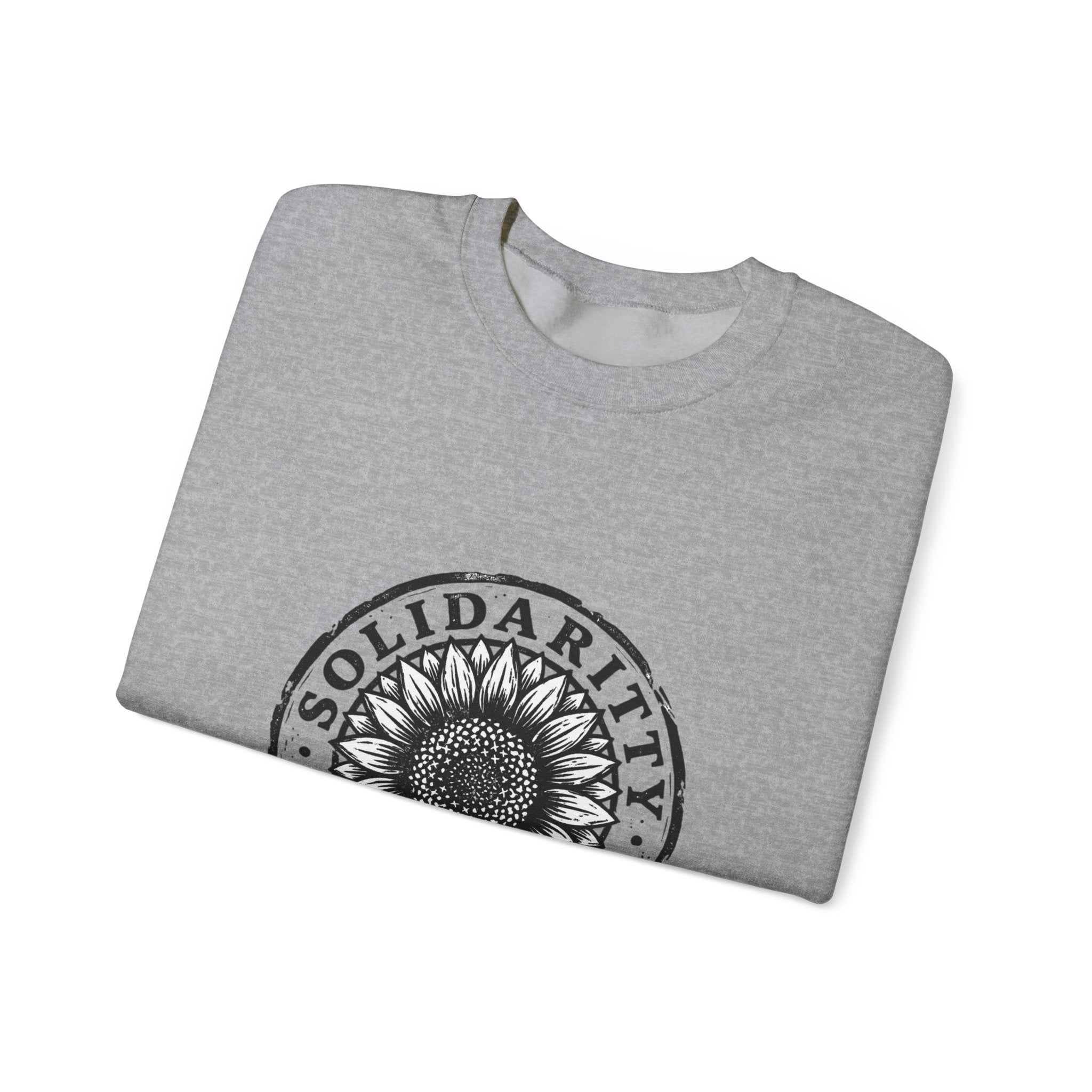 Solidarity Over Pride sweatshirt | People Over Profit statement, activist crewneck