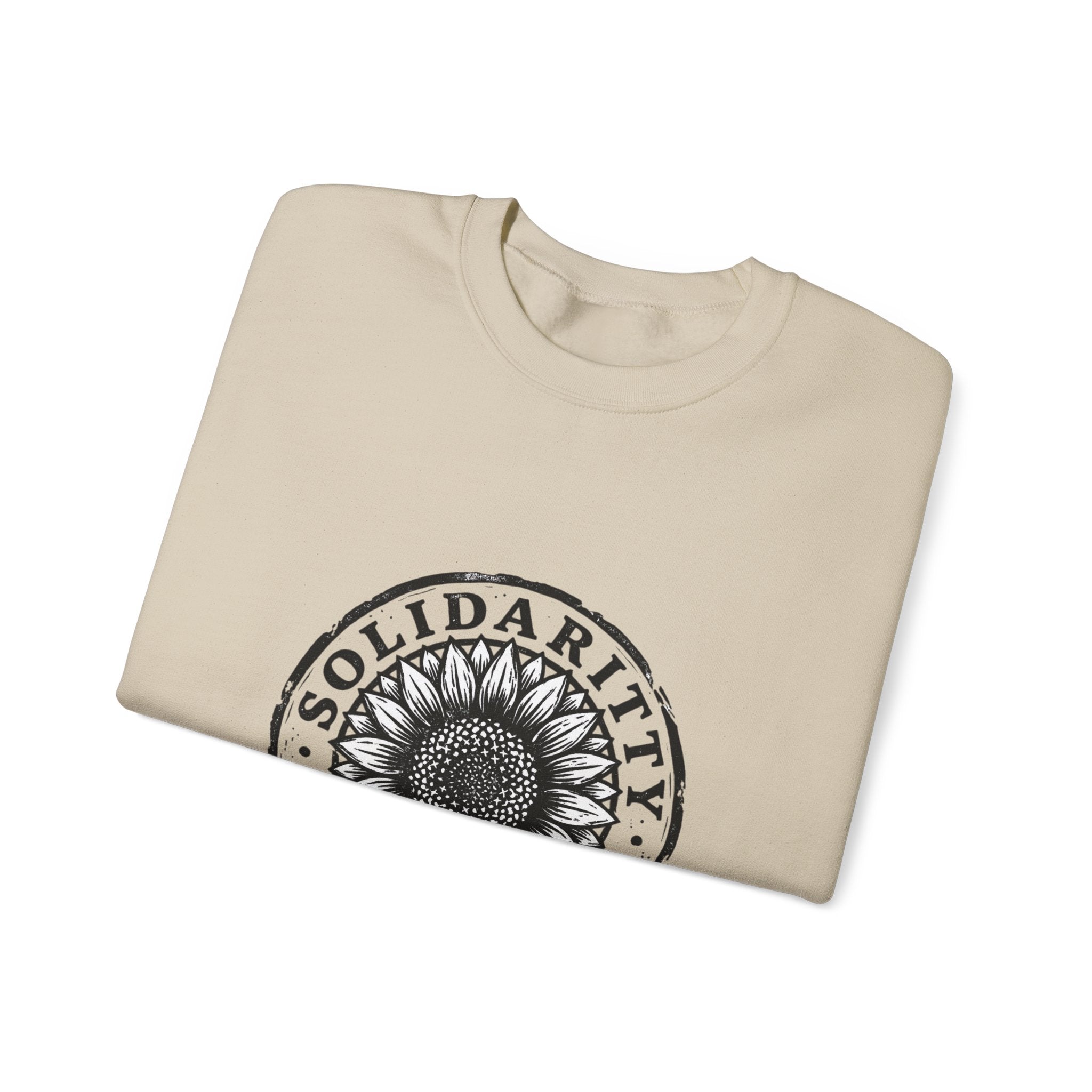 Solidarity Over Pride sweatshirt | People Over Profit statement, activist crewneck
