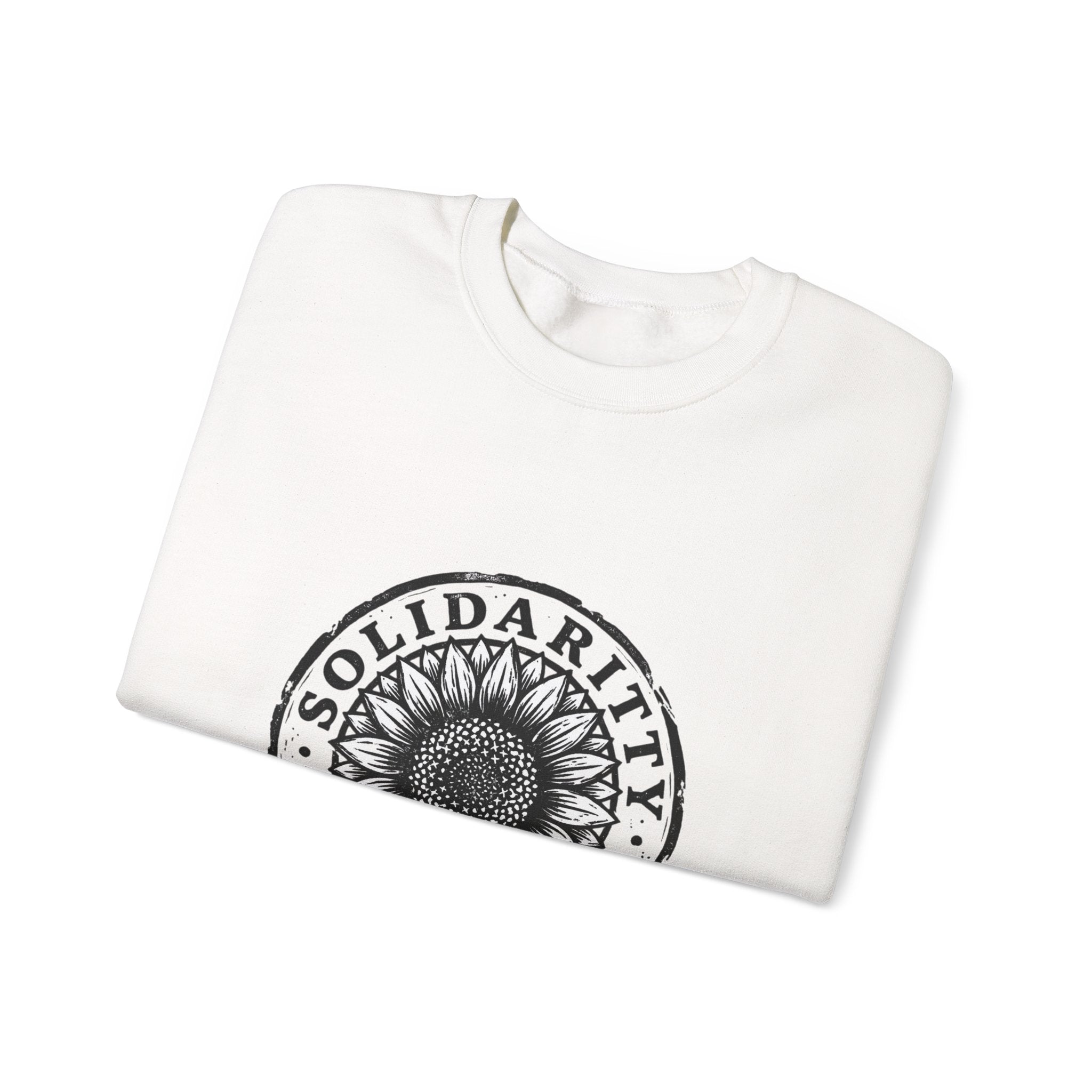 Solidarity Over Pride sweatshirt | People Over Profit statement, activist crewneck