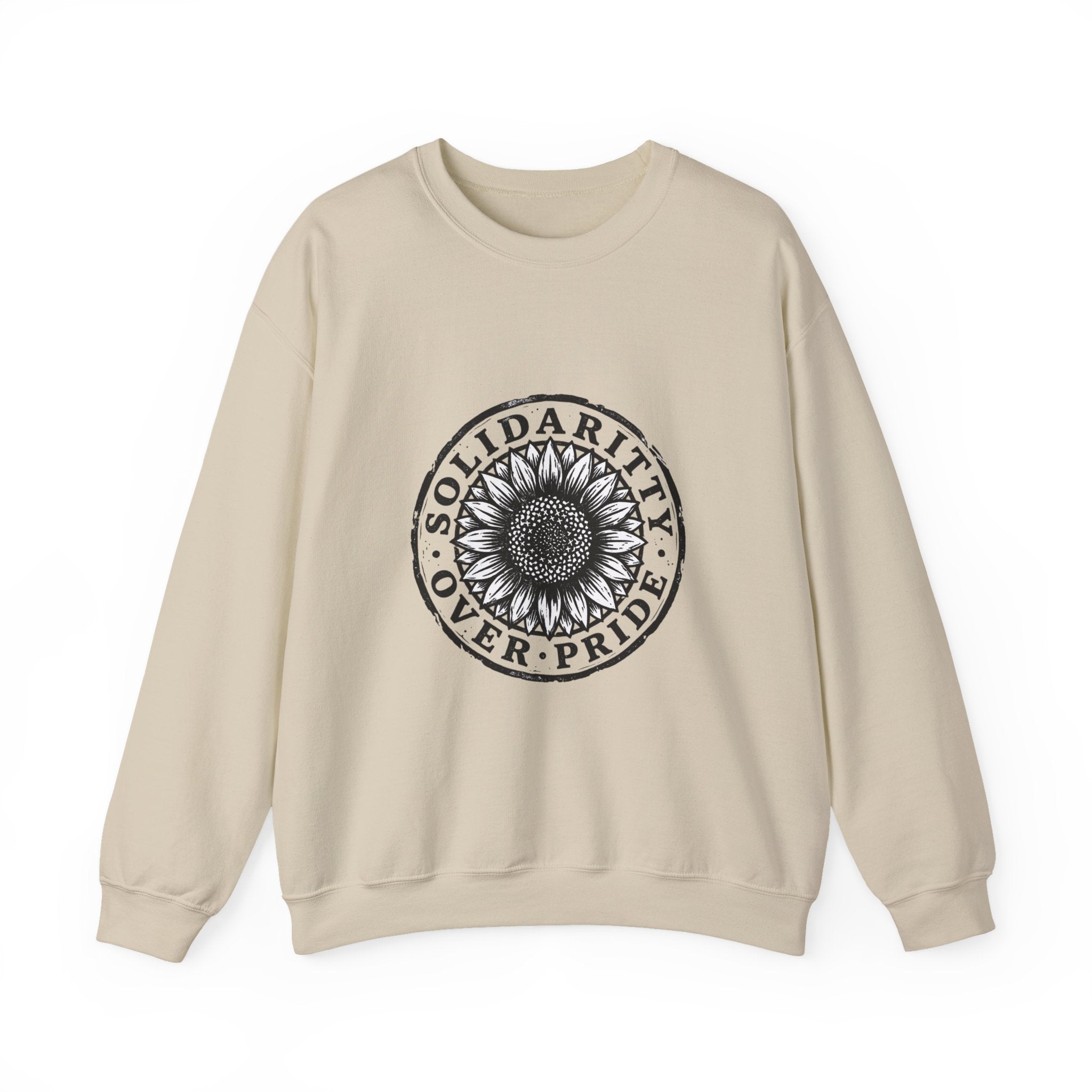 Solidarity Over Pride sweatshirt | People Over Profit statement, activist crewneck