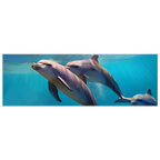 88dd1c88-52a9-4c31-b67d-a42fad77a04e