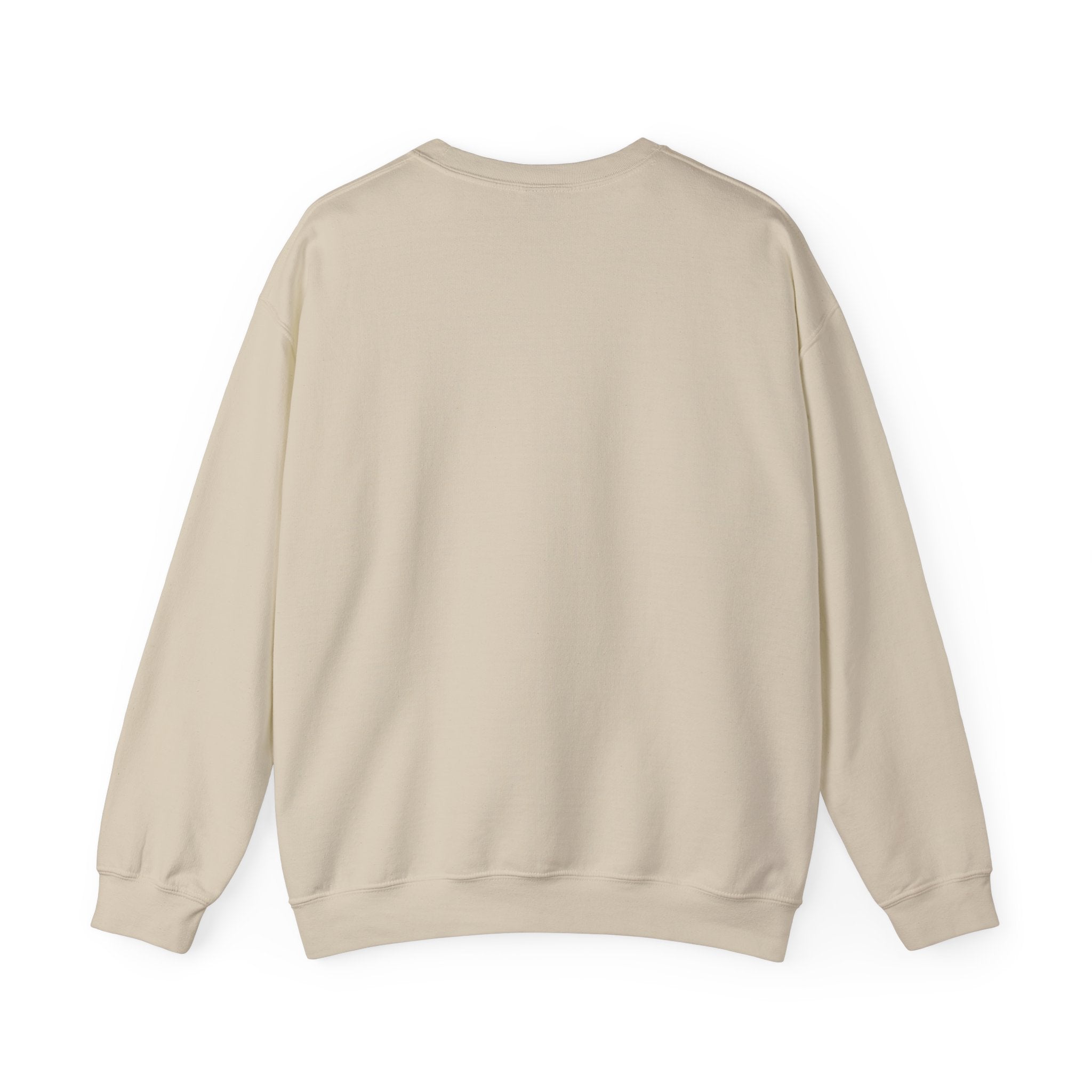 Solidarity Over Pride sweatshirt | People Over Profit statement, activist crewneck