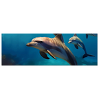 a75ce2ad-6da6-4f0f-9b7f-8506e9d2daf5