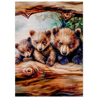 c329a531-ad03-4de9-83dd-0850f63ab897