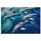 cb9e0248-a5b9-4867-ad03-6d2c86588b36