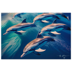 e44cfbf8-2290-488c-96df-b6388f804d28